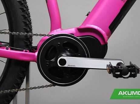 Pells Thorr Base W Magenta