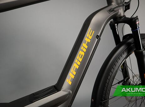Haibike Trekking 10 - High 2022 - titan/lava matt