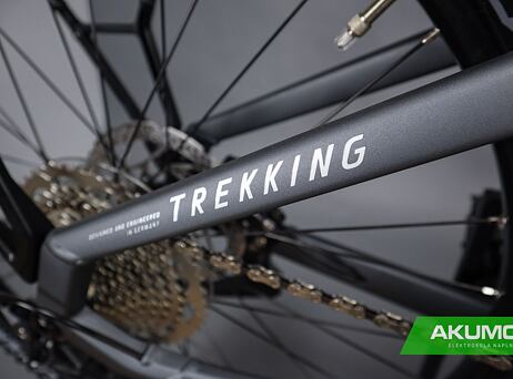 Haibike Trekking 4 - Low - Dark silver/pearl - matt