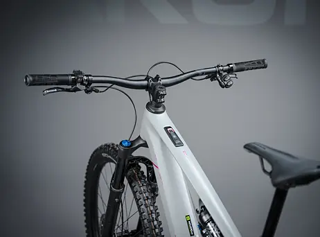 Cube AMS Hybrid ONE44 C:68X TM 400X 29 - swampgrey´n´purplereflex