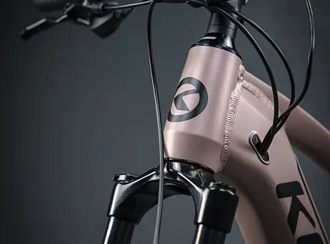 KELLYS Tayen R50 P Rose Gold 29" 820Wh
