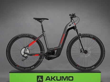 Haibike Trekking 9 Cross 2022 - anthracite/red