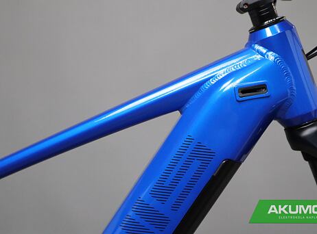 PELLS Thorr First ER Blue