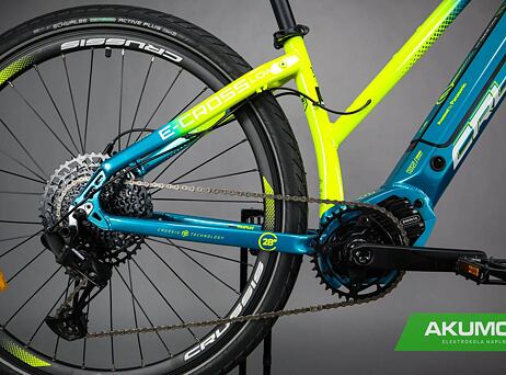 Crussis e-Cross Low 9.8-S