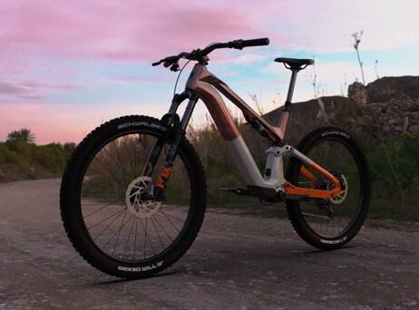 Haibike Lyke CF 10 - Leather/Orange-gloss