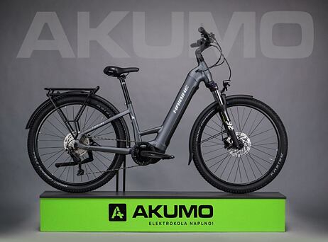 Haibike Trekking 4 - Low - Dark silver/pearl - matt