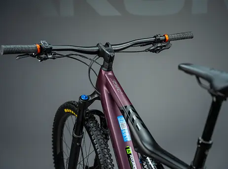 Orbea RISE H10 2023 - Metallic Mulberry-Black