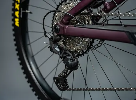 Orbea RISE H10 2023 - Metallic Mulberry-Black