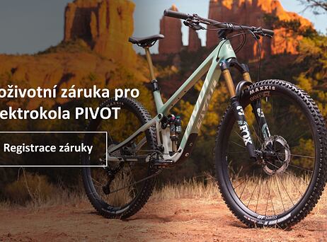 PIVOT Shuttle SL (black) - PRO X01 / X0 Eagle