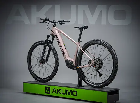 KELLYS Tayen R50 P Rose Gold 29" 820Wh