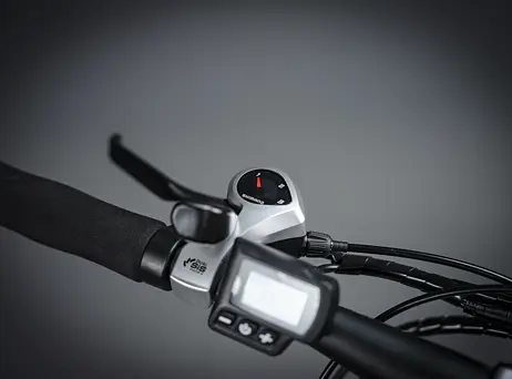 Crussis e-Cross low 1.9-(612 Wh)
