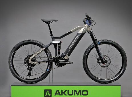 Haibike FullSeven 7 2021 - platin/anthracite