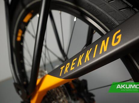 Haibike Trekking 10 - High 2022 - titan/lava matt