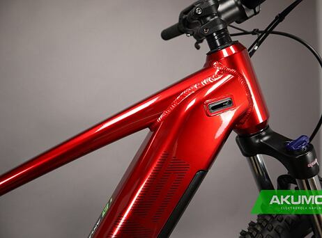 PELLS Thorr Base Red