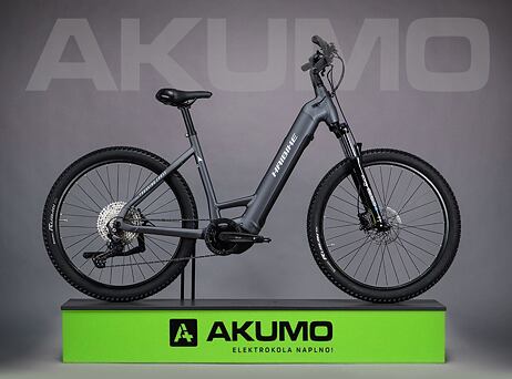 Haibike Trekking 4 Cross - Low - Dark silver/pearl - matt
