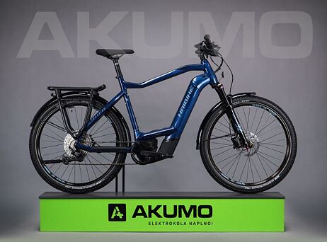 Haibike Trekking 8 750Wh - High - Gloss Roy Met Silverink