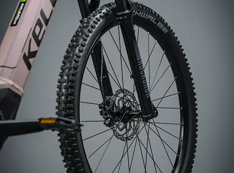 KELLYS Tayen R50 P Rose Gold 29" 820Wh