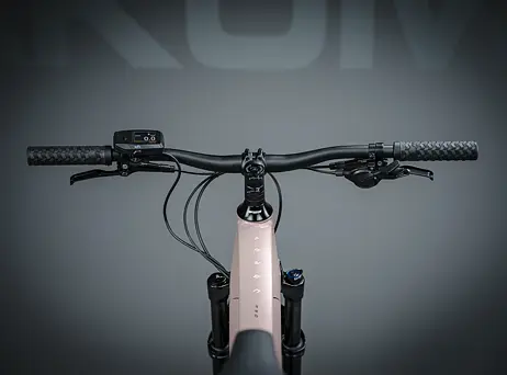 KELLYS Tayen R50 P Rose Gold 29" 820Wh