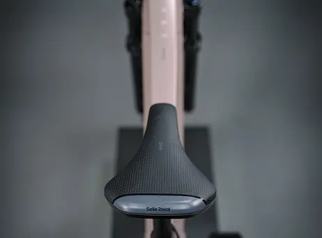 KELLYS Tayen R50 P Rose Gold 29" 820Wh
