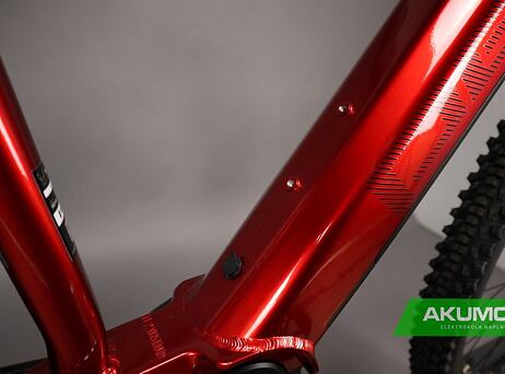 PELLS Thorr Base Red