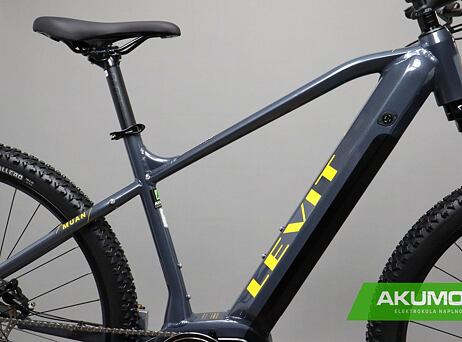 LEVIT MUAN MX 3 630 over black pearl