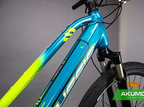 Crussis e-Cross Low 9.8-S