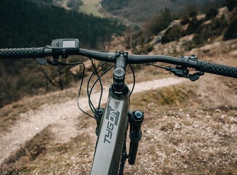 KELLYS Tygon R90 P Grey 29" 725Wh