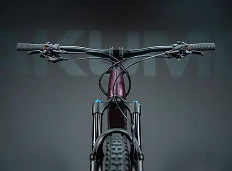Orbea RISE H10 2023 - Metallic Mulberry-Black