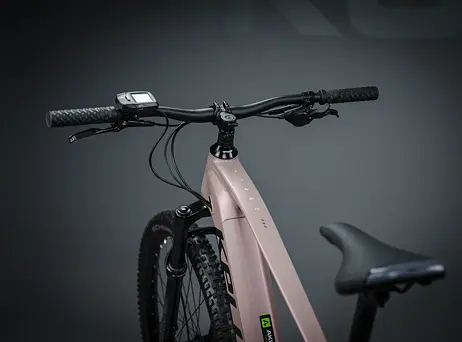 KELLYS Tayen R50 P Rose Gold 29" 820Wh