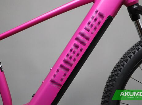 Pells Thorr Base W Magenta