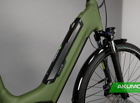 Winora Tria 10 - Low - Mossgreen matt