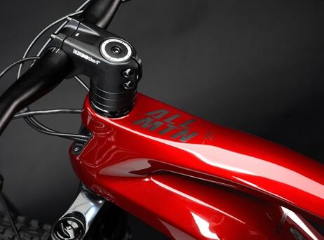 Haibike AllMtn CF 12 2022