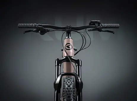 KELLYS Tayen R50 P Rose Gold 29" 820Wh
