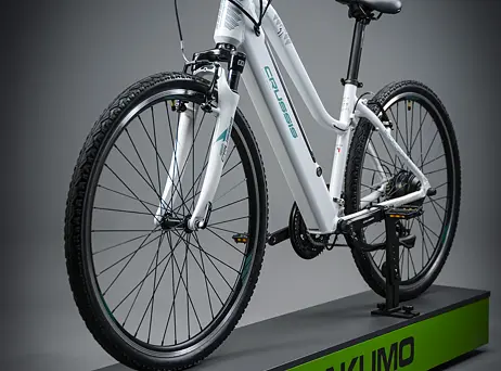 Crussis e-Cross low 1.9-(612 Wh)