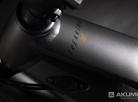 Haibike Trekking 10 - High 2022 - titan/lava matt