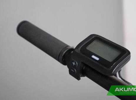 PELLS Thorr Base Black 2022