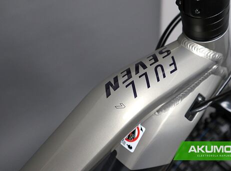Haibike FullSeven 7 2021 - platin/anthracite