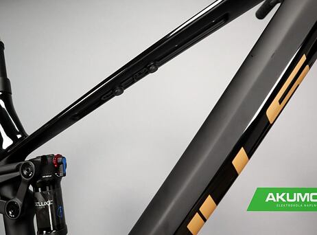 Bulls Sonic AMSL 1 Carbon 29 750 Wh - Black/Gold