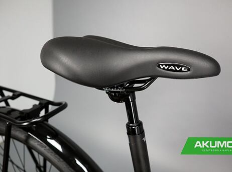 Winora Tria 10 - Low - Mossgreen matt