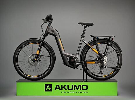 Haibike Trekking 10 - low 2022 - titan/lava matte