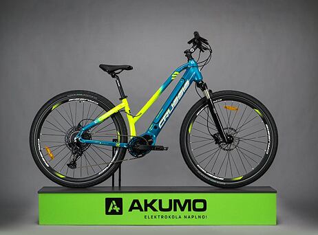 Crussis e-Cross Low 9.8-S