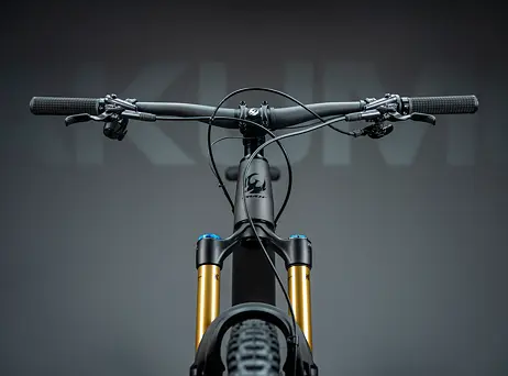 PIVOT Shuttle SL (black) - PRO X01 / X0 Eagle