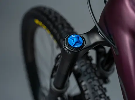 Orbea RISE H10 2023 - Metallic Mulberry-Black