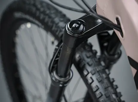 KELLYS Tayen R50 P Rose Gold 29" 820Wh
