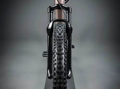 KELLYS Tayen R50 P Rose Gold 29" 820Wh
