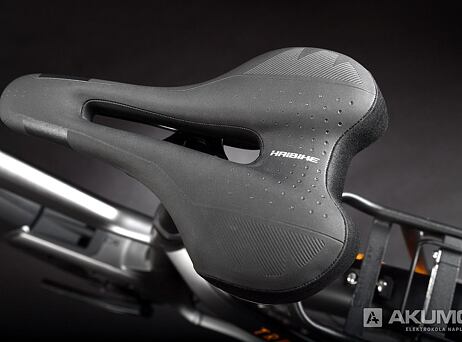 Haibike Trekking 10 - High 2022 - titan/lava matt