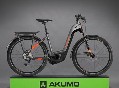 Haibike Trekking 10 - low 2022 - titan/lava matte