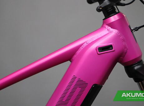 Pells Thorr Base W Magenta