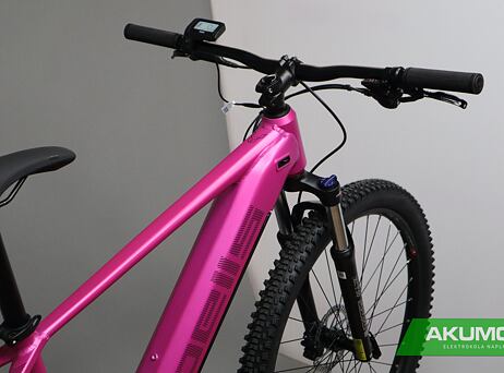 Pells Thorr Base W Magenta