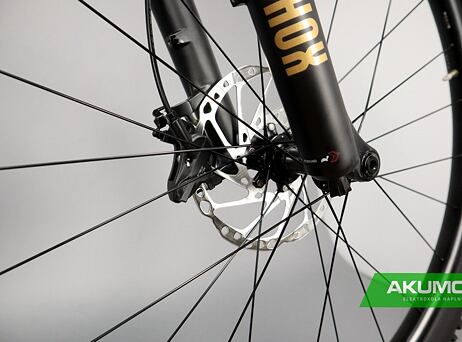 Bulls Sonic AMSL 1 Carbon 29 750 Wh - Black/Gold